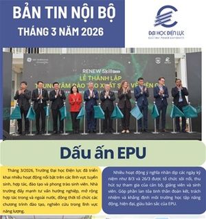 Bản tin nội bộ số 20